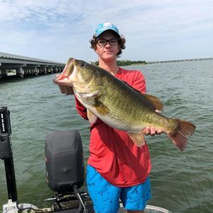 Meet your Posher, Ben